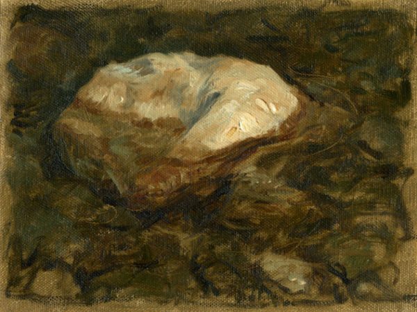 Pietra immersa nel fiume