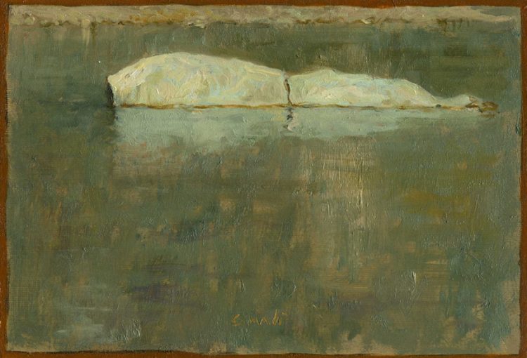 Pietre che affiorano dal fiume